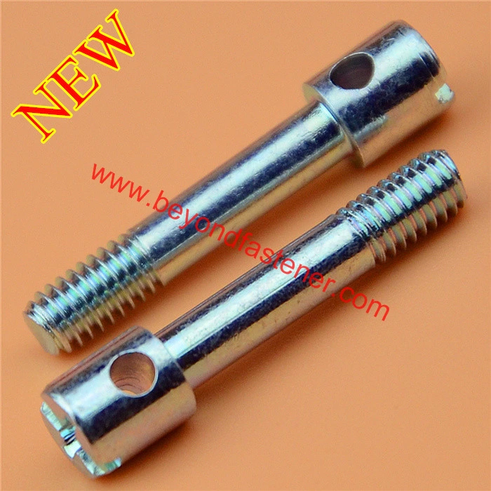 Socket Head with Pin /Safety Screw/ Special Bolts/Terminal Cover Screw