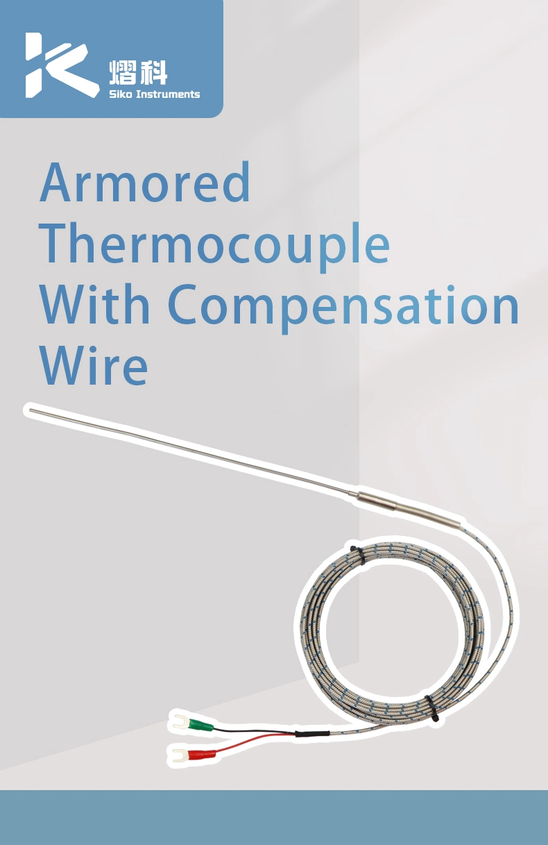 0-1300 Deg. C Wrnk191 Type K High Temperature Armored Thermocouple Temperture Sensor